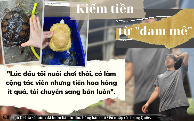 Loài động vật hoang dã bị buôn bán nhiều nhất Việt Nam - Ảnh 6.