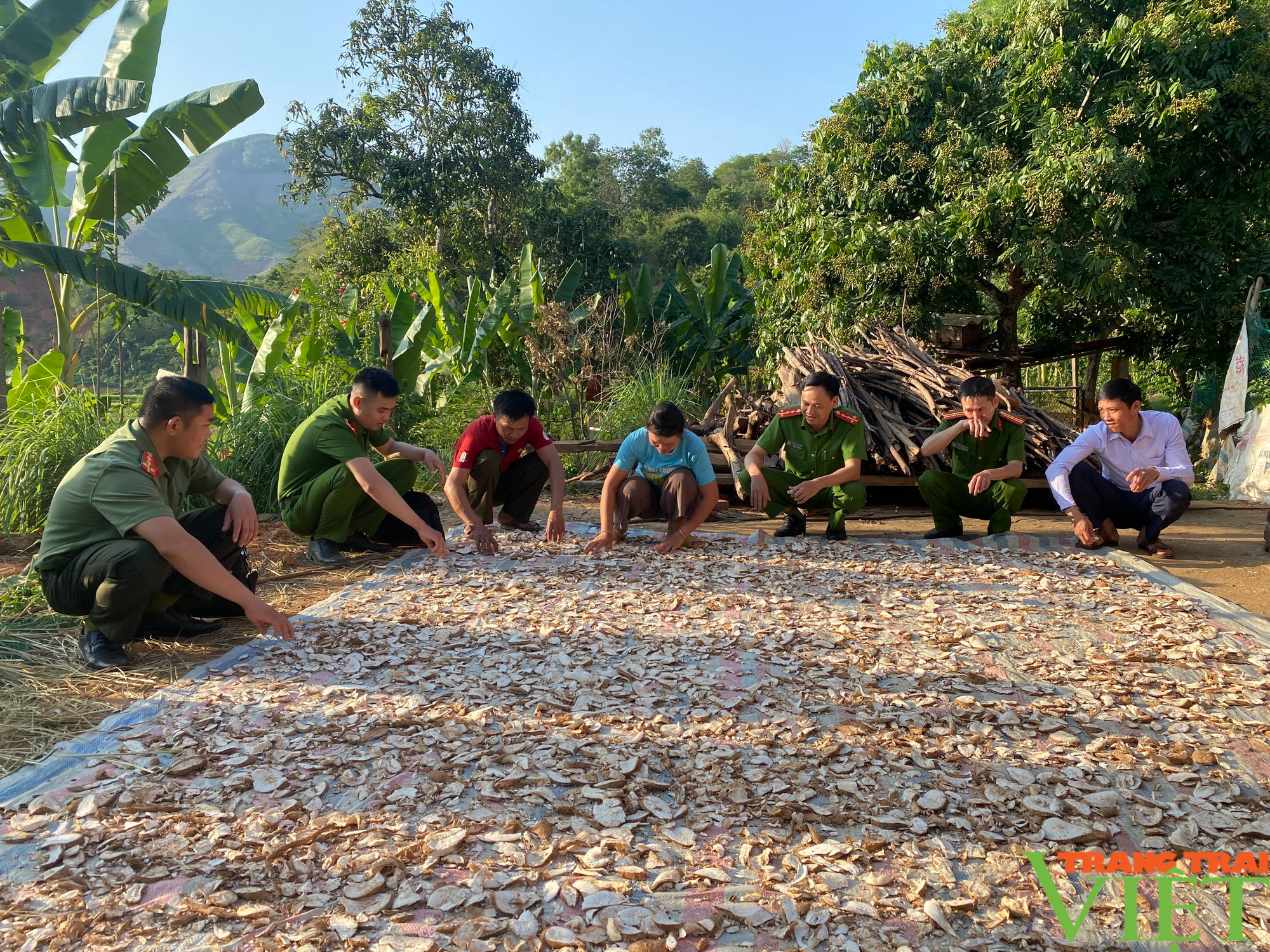 Bản người Thái ở huyện biên giới bền vững &quot;4 không&quot; về ma tuý - Ảnh 4.