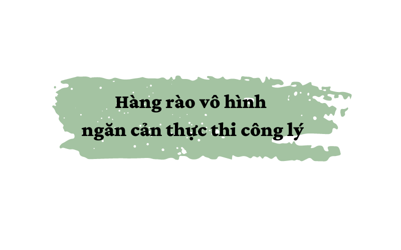Kỳ 3: Kẽ hở nào trong công tác quản lý, bảo vệ rùa - Ảnh 6.