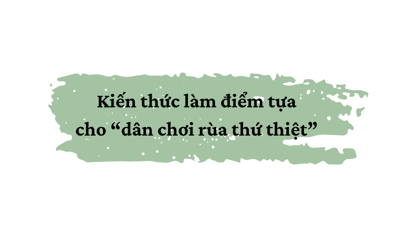 Kỳ 3: Kẽ hở nào trong công tác quản lý, bảo vệ rùa - Ảnh 9.