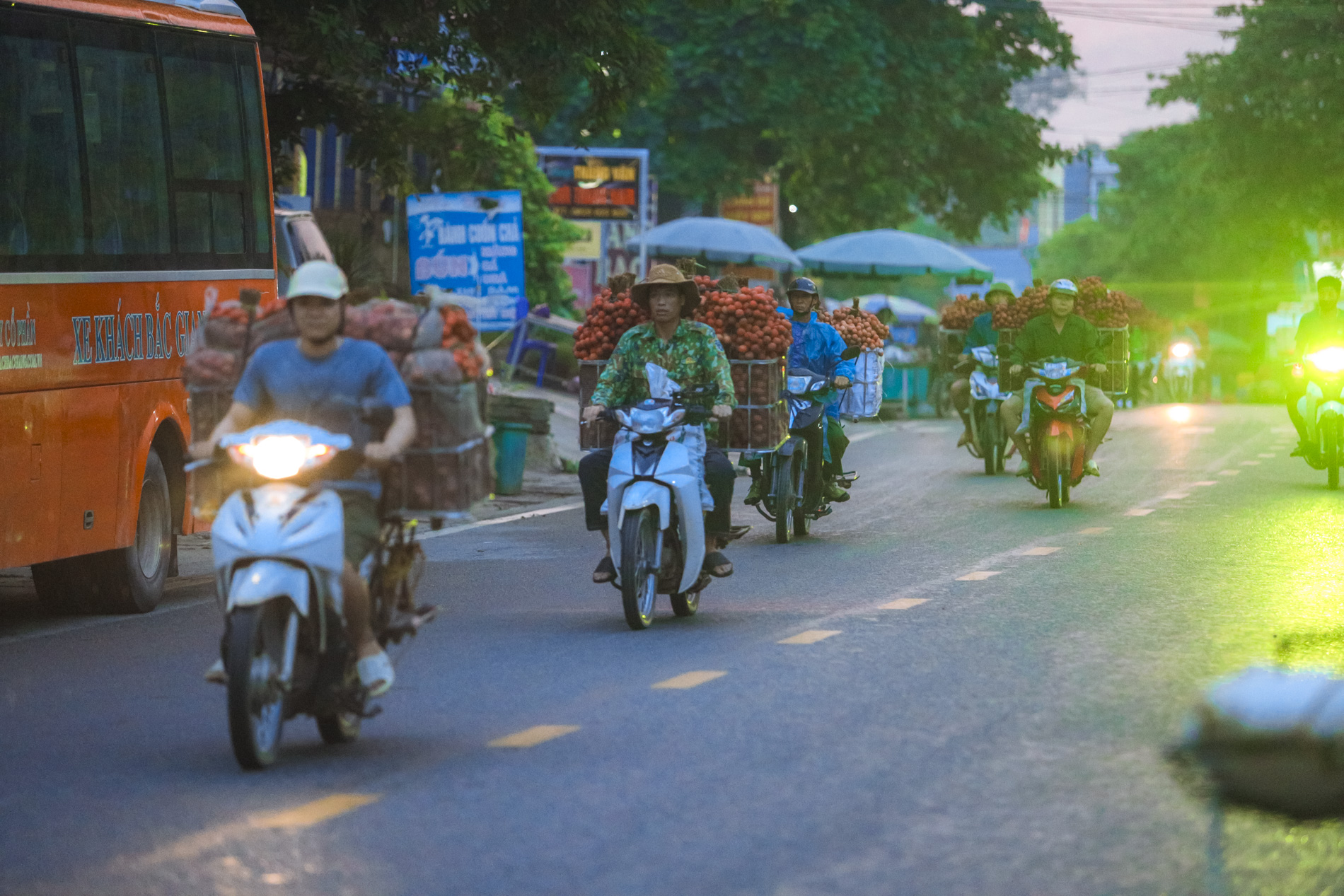 Nông dân Bắc Giang trắng đêm thu hoạch vải thiều, chở đi bán từ tờ mờ sáng - Ảnh 12.