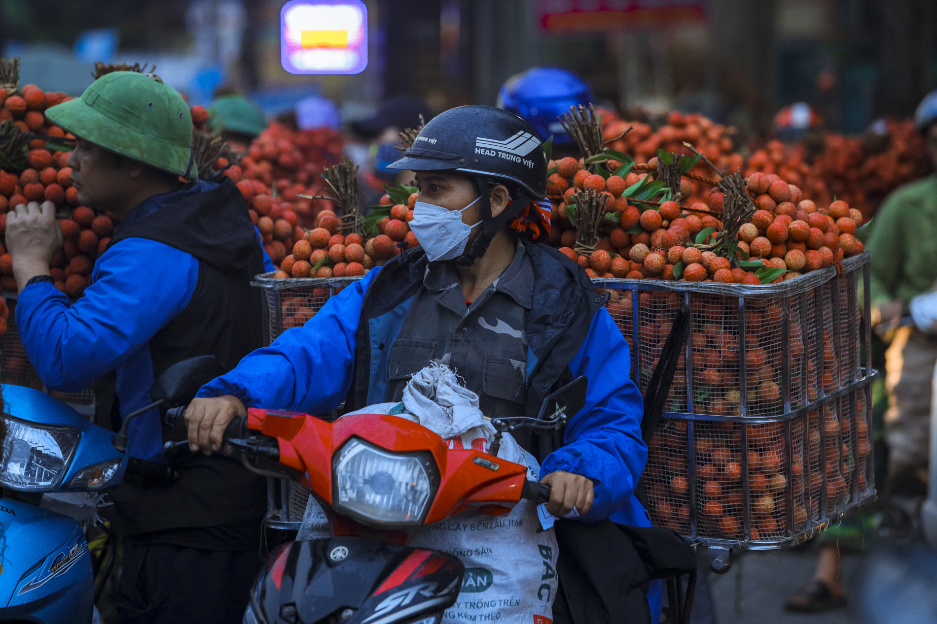 Nông dân Bắc Giang trắng đêm thu hoạch vải thiều, chở đi bán từ tờ mờ sáng - Ảnh 16.