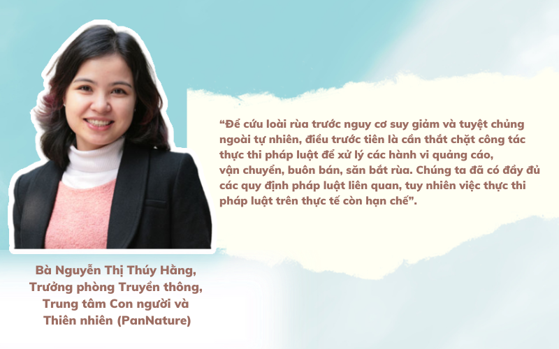 Kỳ 3: Kẽ hở nào trong công tác quản lý, bảo vệ rùa - Ảnh 5.
