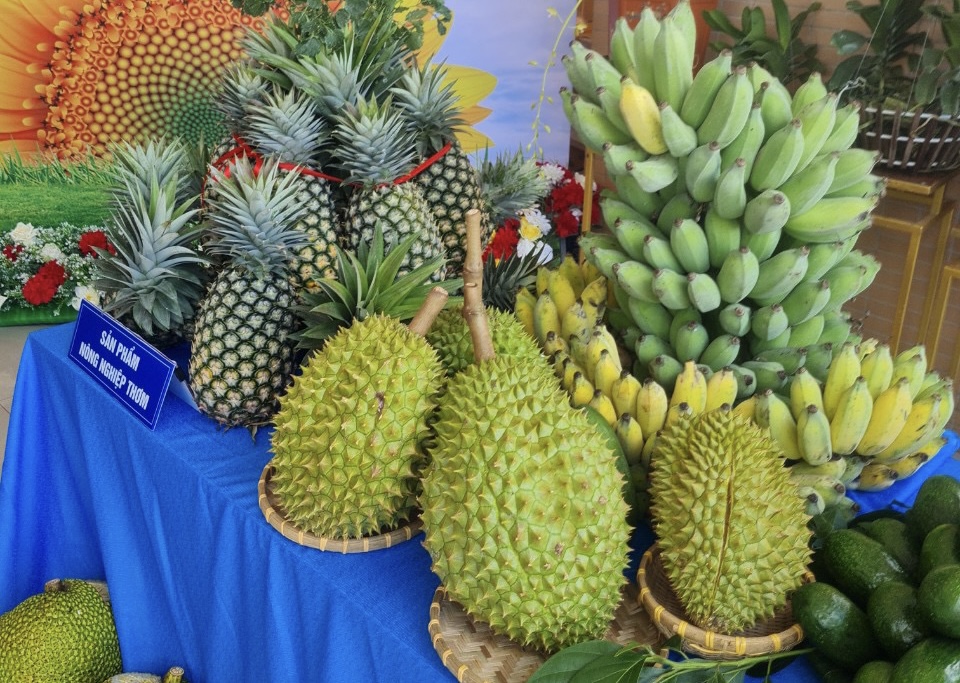 Bà Rịa - Vũng Tàu: Nông dân đưa sầu riêng, bơ, măng cụt... ra chợ nông sản - Ảnh 1.