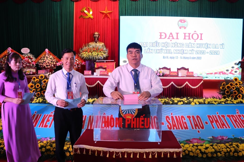 Đại hội Hội Nông dân huyện Ba Vì:  - Ảnh 3.