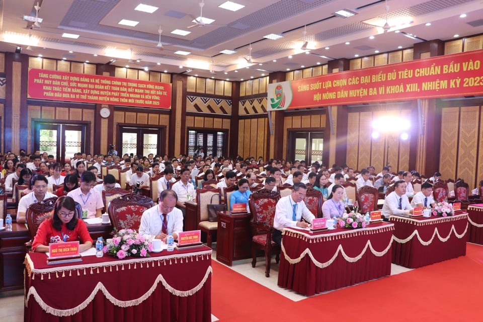 Đại hội Hội Nông dân huyện Ba Vì:  - Ảnh 1.