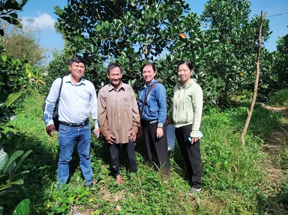 Trồng thứ mít khi trái chín bổ ra ai cũng bất ngờ, nông dân nơi này của Hậu Giang cắt bán đắt hàng - Ảnh 2.