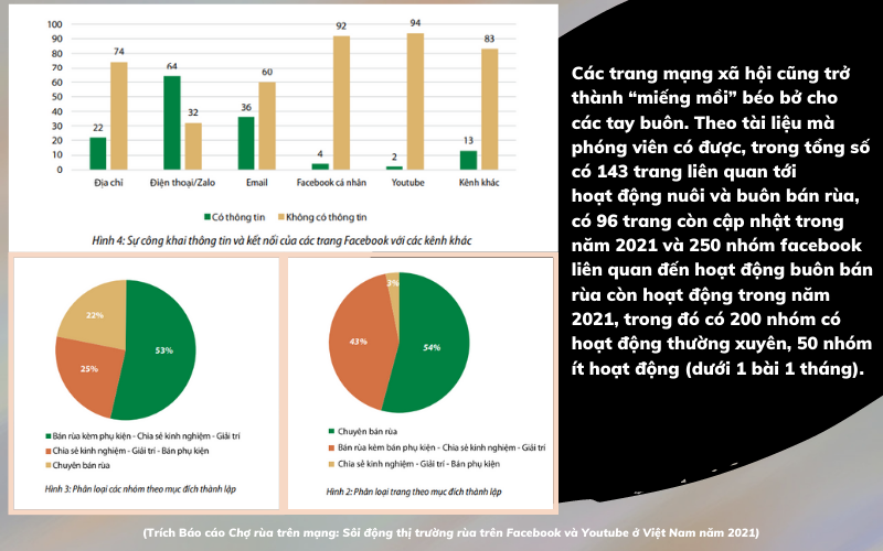 Bài 3: Kẽ hở nào trong công tác quản lý, bảo vệ rùa - Ảnh 5.