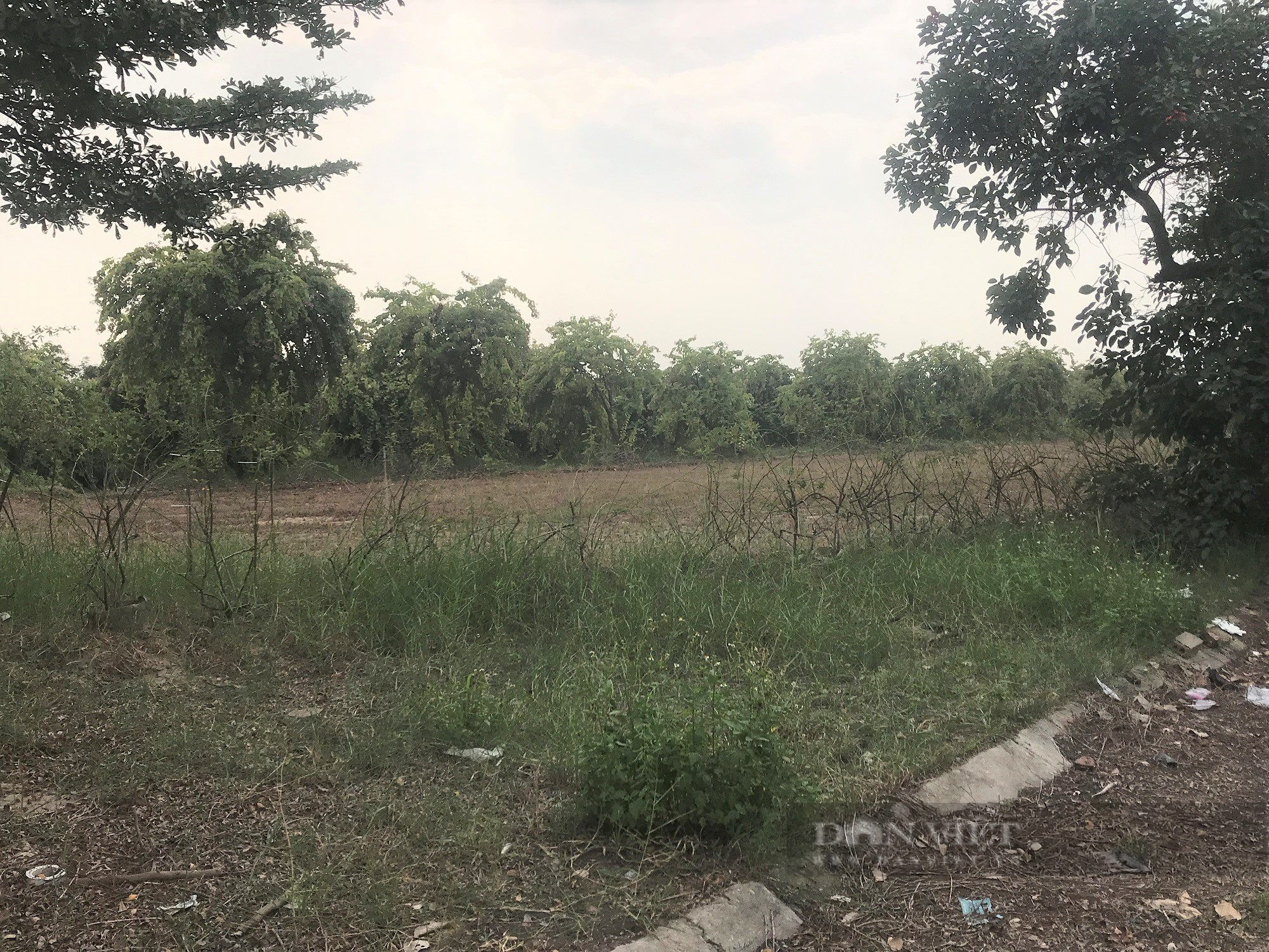 Hà Nội: Hàng loạt dự án khu đô thị “khủng” bị dừng thực hiện do chậm triển khai - Ảnh 1. Hà Nội: Hàng loạt dự án khu đô thị “khủng” bị dừng thực hiện do chậm triển khai - Ảnh 1.