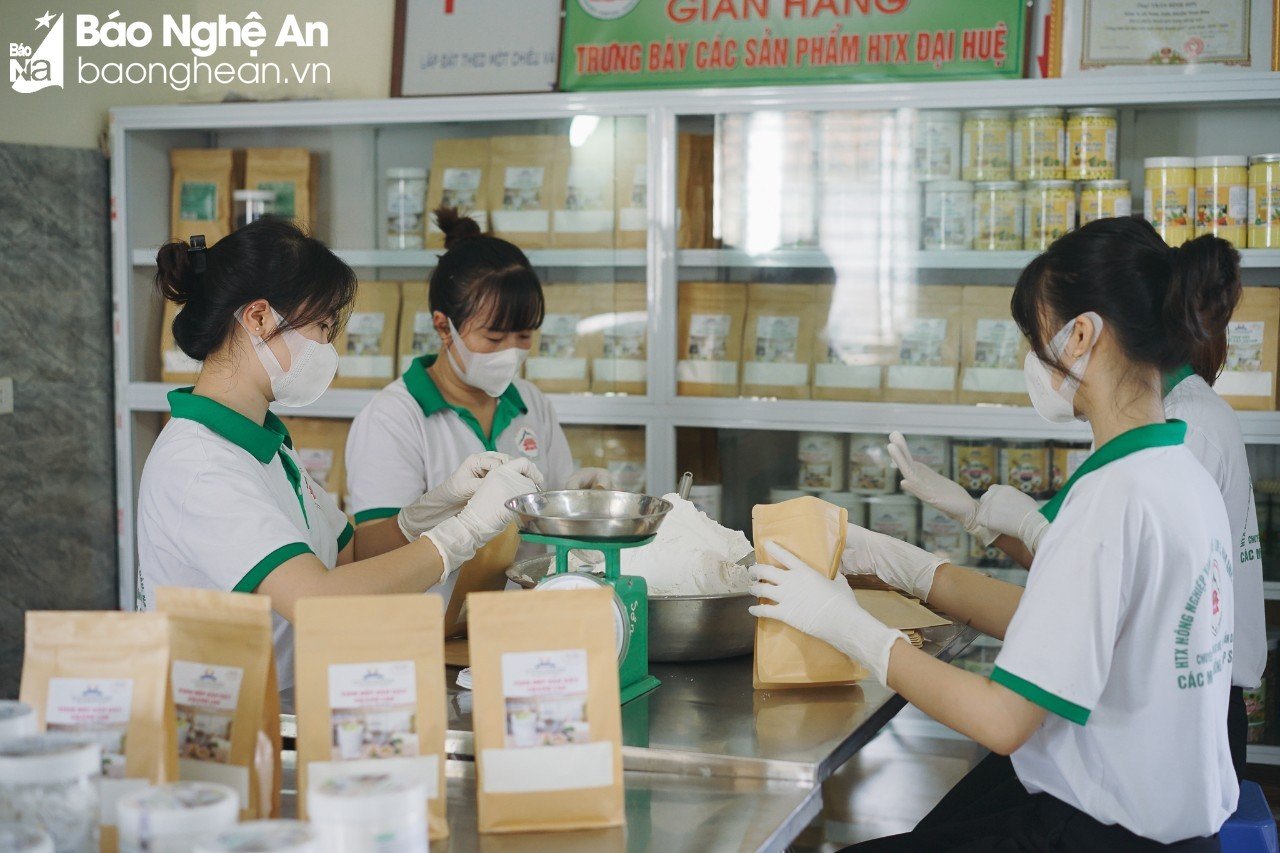 Bột sắn dây ai cũng muốn mua khi đến Nam Đàn - Ảnh 6. Bột sắn dây ai cũng muốn mua khi đến Nam Đàn - Ảnh 6.