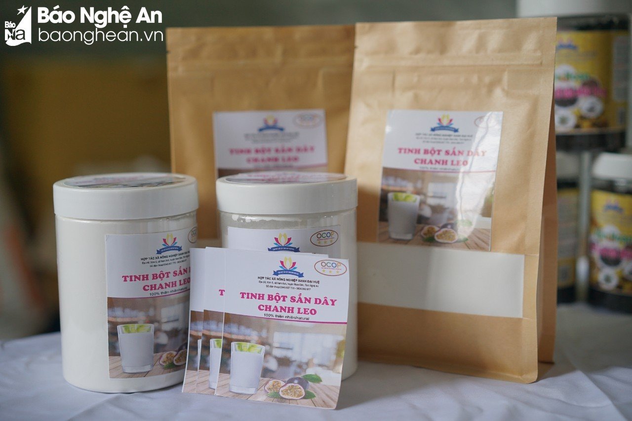 Bột sắn dây ai cũng muốn mua khi đến Nam Đàn - Ảnh 1. Bột sắn dây ai cũng muốn mua khi đến Nam Đàn - Ảnh 1.