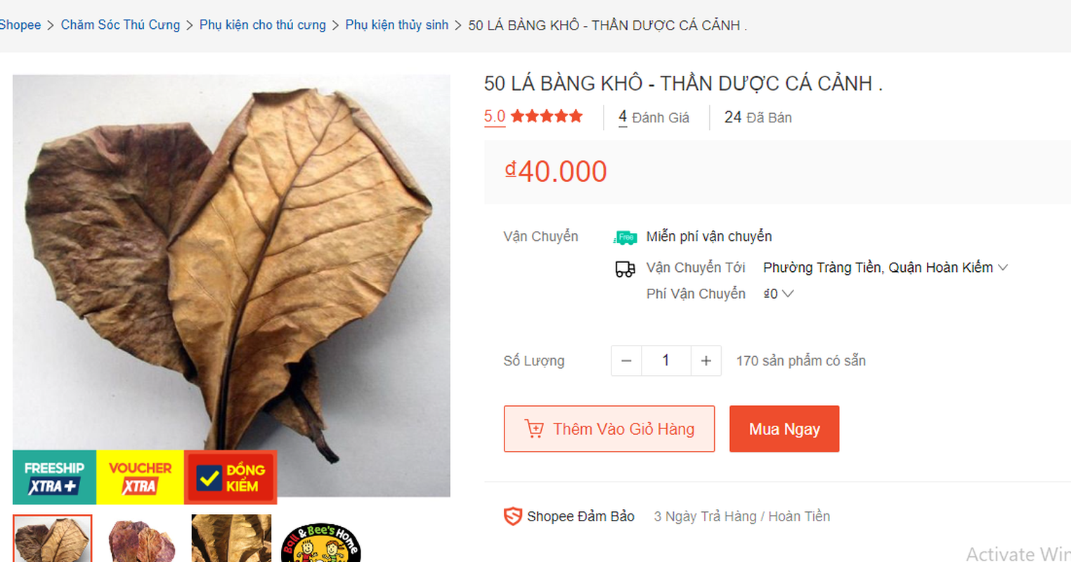 Những loại lá rụng đầy đường, trước bỏ đi không hết nay được rao bán nhiều với giá không tưởng - Ảnh 4.