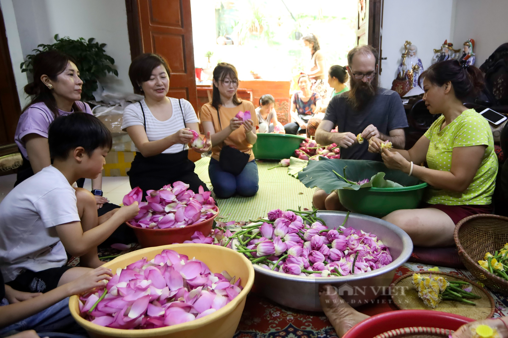 Khám phá quy trình ướp trà sen đệ nhất Hà Thành có giá chục triệu đồng/kg - Ảnh 5.