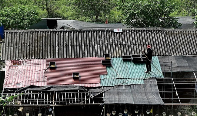 Quá nắng nóng, người dân khắp châu Á làm đủ mọi cách để hạ nhiệt - Ảnh 8.