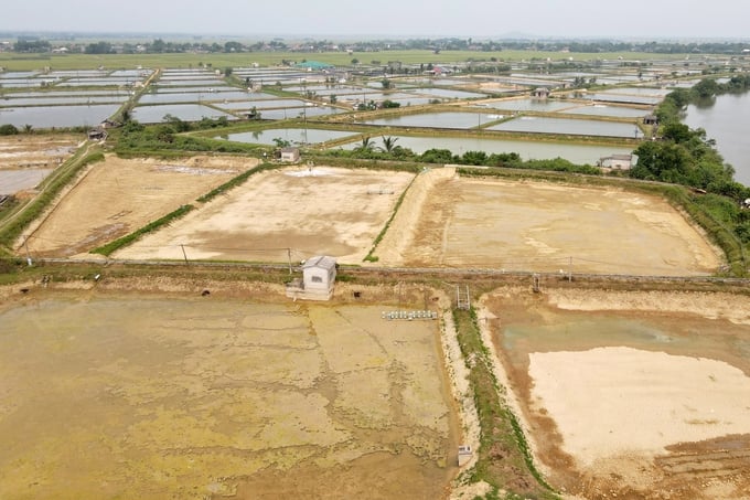 Tôm chết trắng đồng nghi nguồn nước ô nhiễm, nông dân chỉ biết "kêu trời" - Ảnh 1. Tôm chết trắng đồng nghi nguồn nước ô nhiễm, nông dân chỉ biết "kêu trời" - Ảnh 1.