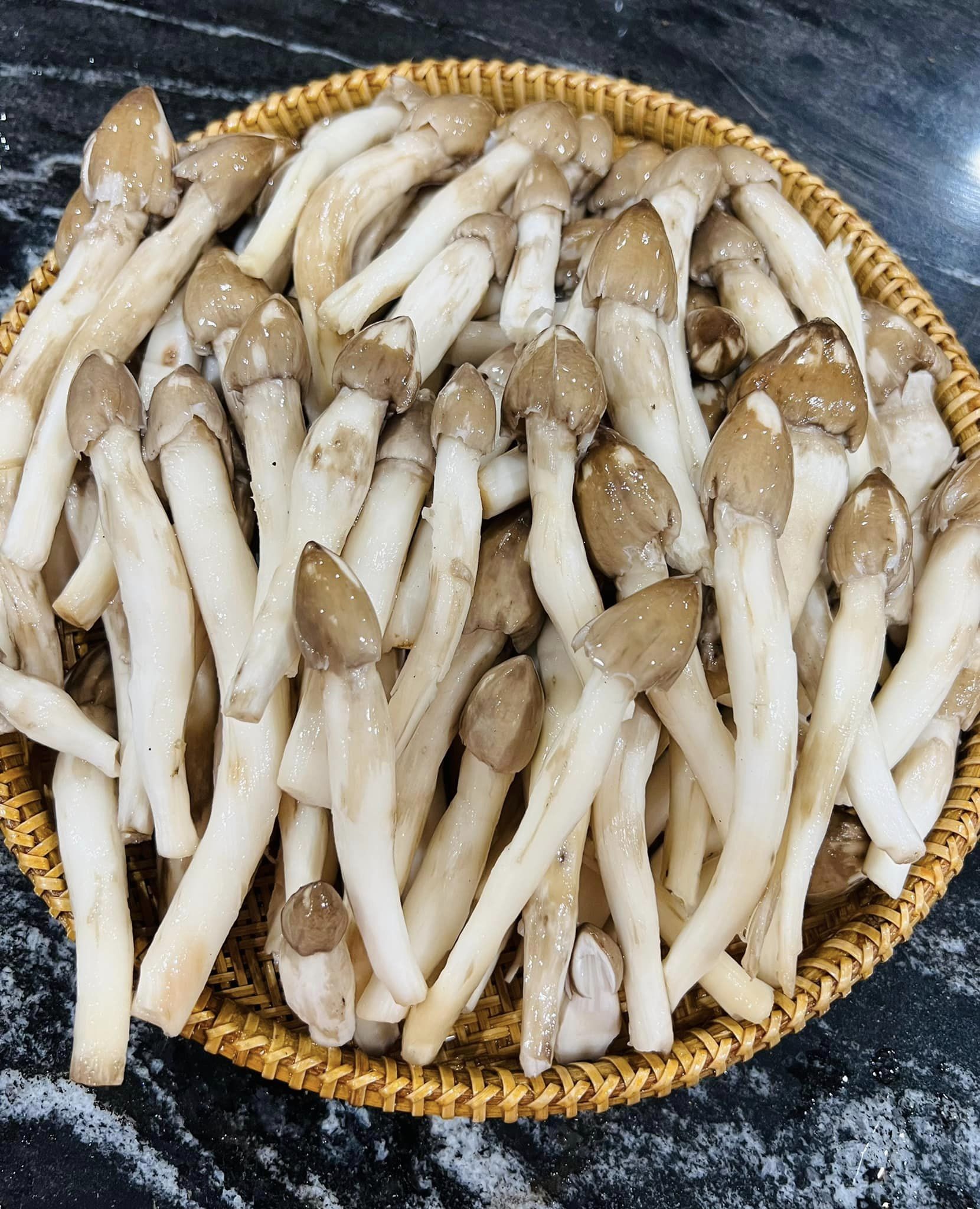 Nấm mối chưa vào mùa nhưng chị em đã săn lùng - Ảnh 4.