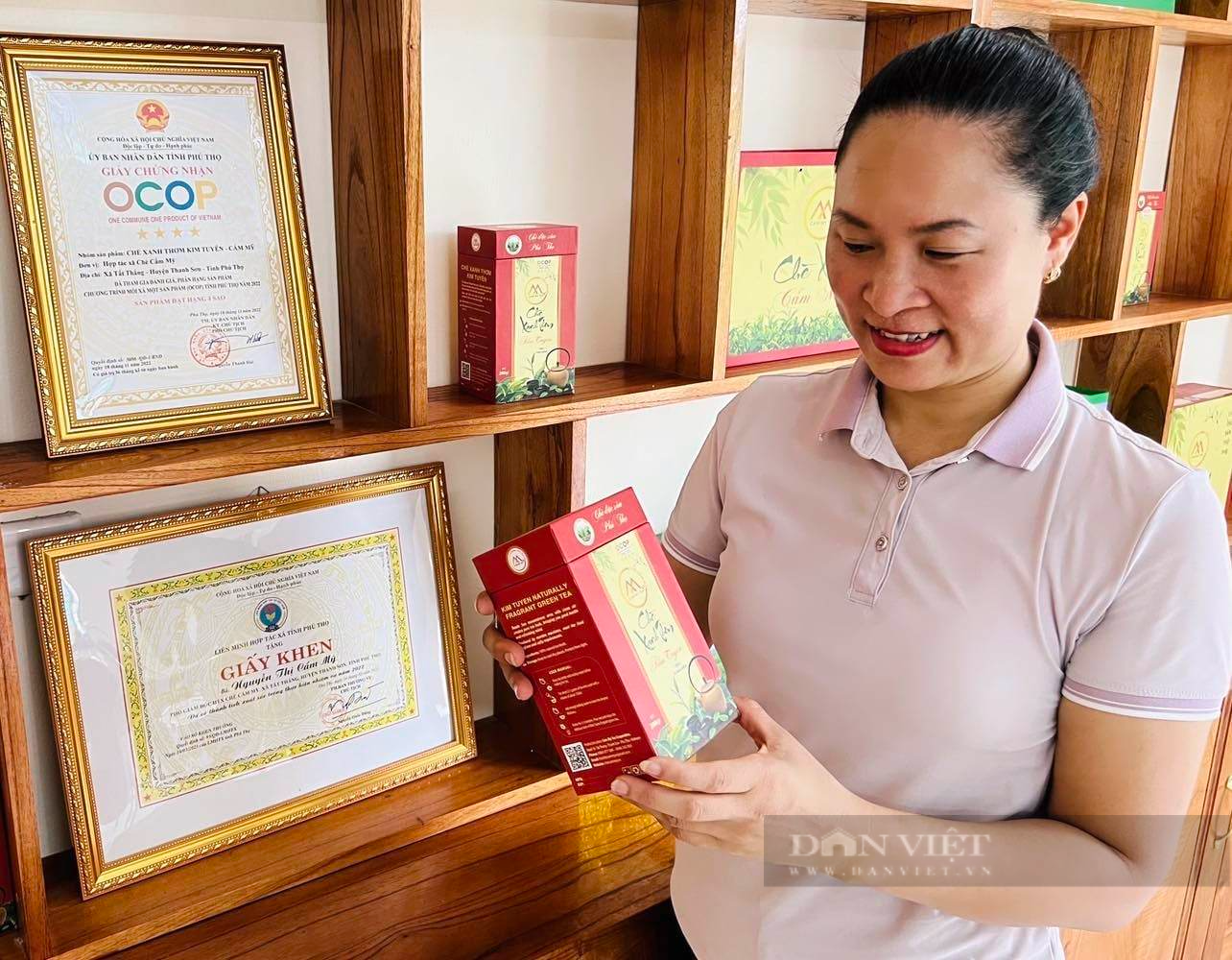 Hợp tác xã tiêu biểu toàn quốc 2023 ở Phú Thọ trồng chè theo hướng hữu cơ, tạo việc làm cho người dân tộc Mường - Ảnh 5.