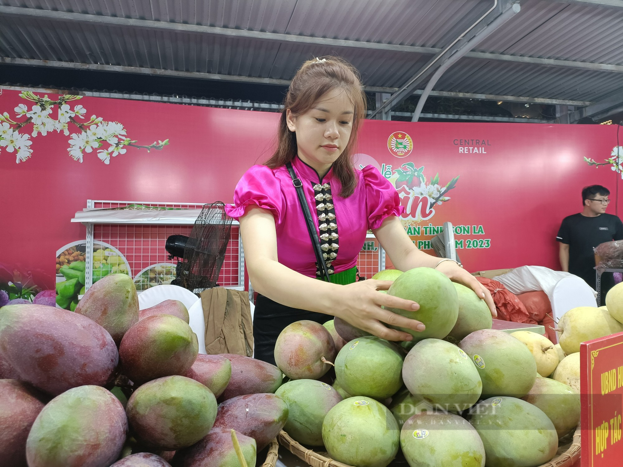 Xoài, mận Sơn La hút khách Thủ đô, &quot;mận ngon nhất trong các loại mận&quot; giá 130.000 đồng/kg vẫn cháy hàng - Ảnh 4.