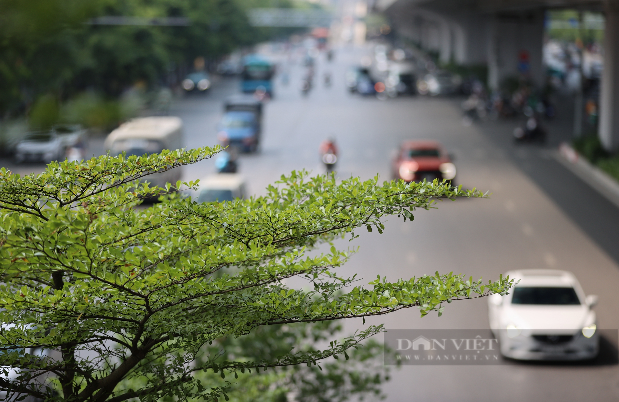 Loạt &quot;mái che&quot; khổng lồ, giúp người đi đường Thủ đô bớt khổ vì nắng nóng - Ảnh 3.