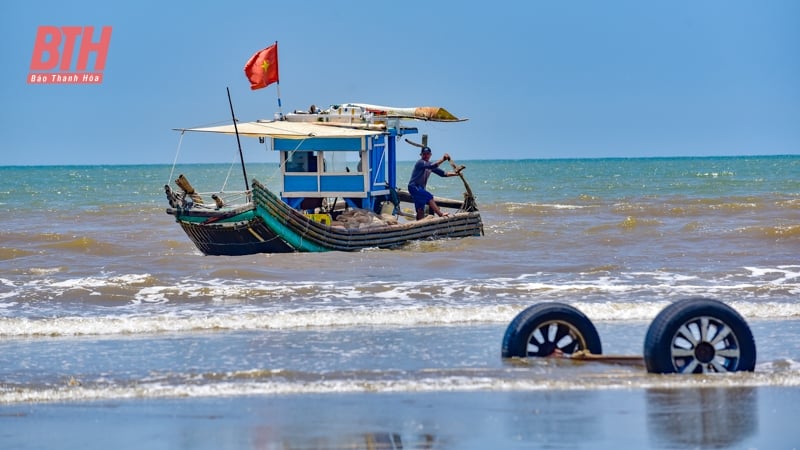 Mới đầu mùa nhưng ruốc đã có nhiều, ngư dân Thanh Hóa vươn để kiếm lộc, phấn khởi ra mặt - Ảnh 1.