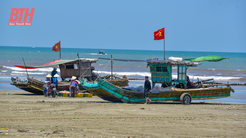 Mới đầu mùa nhưng ruốc đã có nhiều, ngư dân Thanh Hóa vươn để kiếm lộc, phấn khởi ra mặt - Ảnh 13.