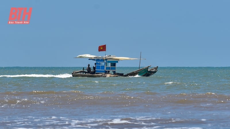Mới đầu mùa nhưng ruốc đã có nhiều, ngư dân Thanh Hóa vươn để kiếm lộc, phấn khởi ra mặt - Ảnh 6.