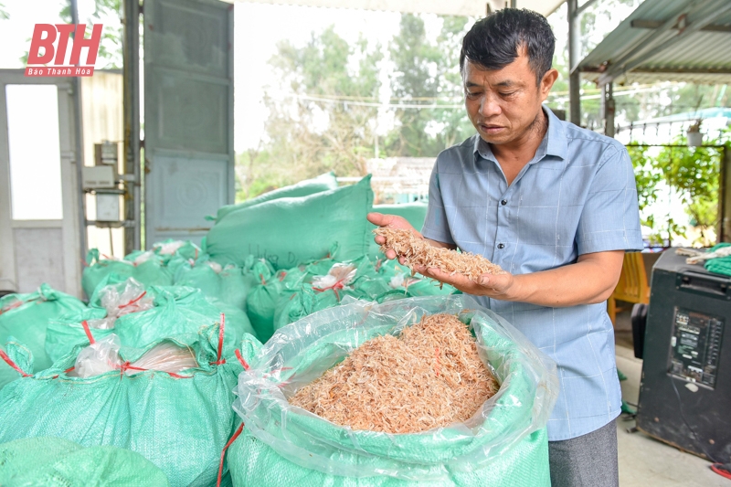 Mới đầu mùa nhưng ruốc đã có nhiều, ngư dân Thanh Hóa vươn để kiếm lộc, phấn khởi ra mặt - Ảnh 8.