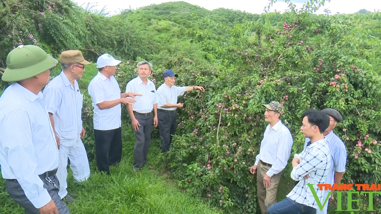 Sơn La: Tập trung phát triển nông nghiệp công nghệ cao - Ảnh 4.