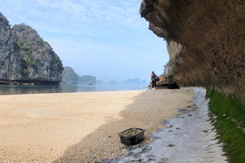 Ở một nơi trên Vịnh Hạ Long có hòn đảo tên lạ, đọc dễ nhớ nhưng không phải ai cũng đã đặt chân lên - Ảnh 3.