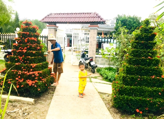 Trồng bao nhiêu loại rau xung quanh nhà mà một nông dân ở Cà Mau có thu nhập 20 triệu/tháng? - Ảnh 4.