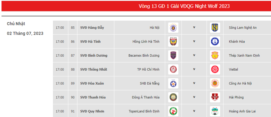 Nhận diện &quot;bát hùng&quot; V.League 2023: &quot;Nút thắt&quot; trận Topenland Bình Định tiếp HAGL - Ảnh 5.