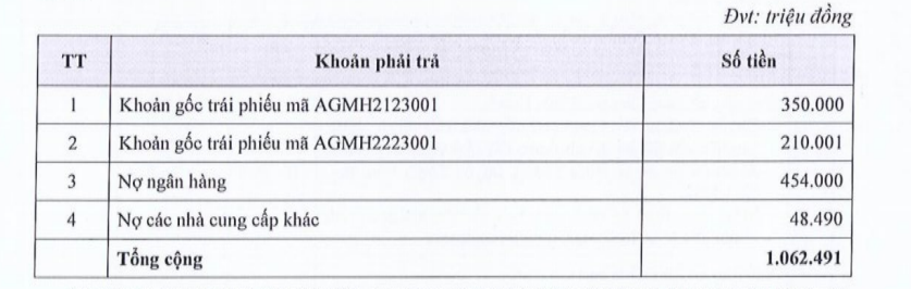 Angimex (AGM) lên kế hoạch thanh lý tài sản để vực dậy sản xuất kinh doanh - Ảnh 2.