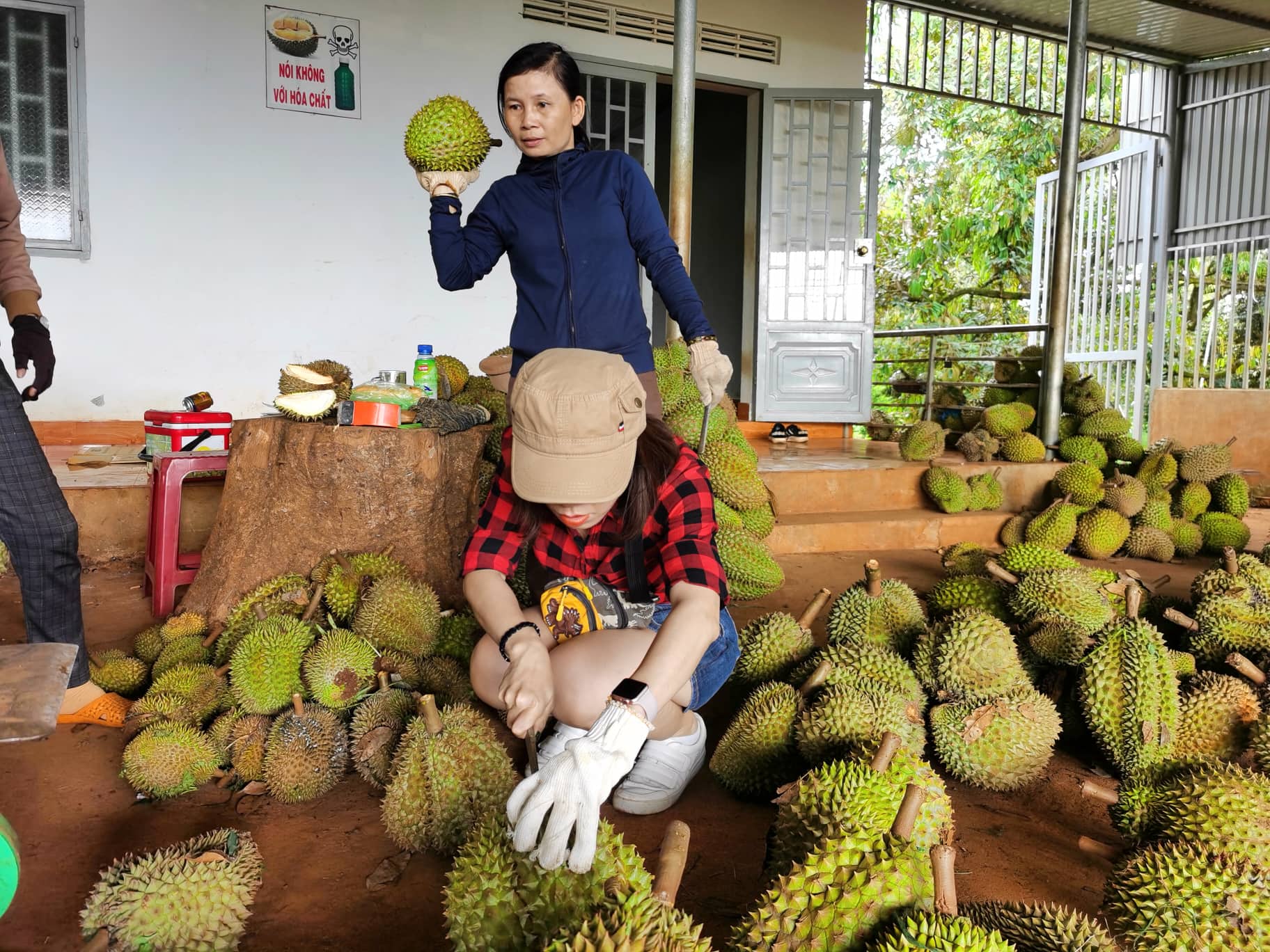 TS. Lê Đăng Doanh: Thúc đẩy kinh tế số, xuất khẩu nông sản sang Trung Quốc sẽ tăng nhanh - Ảnh 1.