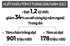 Xuất khẩu tôm lao đao vì lạm phát - Ảnh 2.