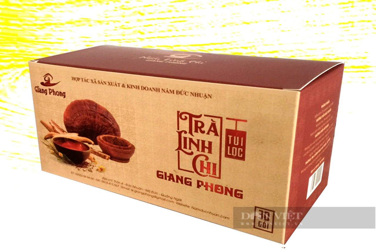 Một nông dân lập Hợp tác xã trồng nấm sạch đầu tiên ở Quảng Ngãi, thu tiền tỷ mỗi năm - Ảnh 3.