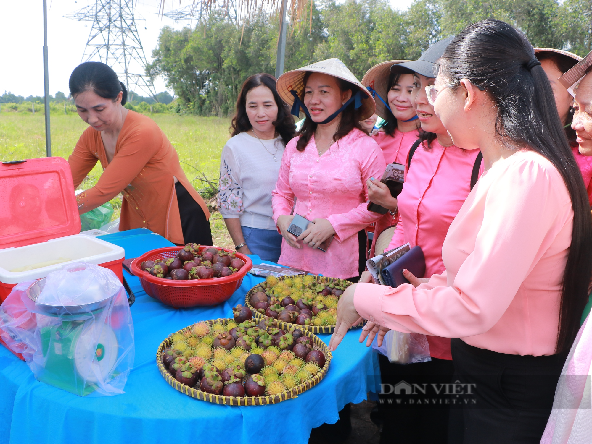 Về Củ Chi hái măng cụt, chôm chôm mùa &quot;Hoa thơm trái ngọt&quot; - Ảnh 1.