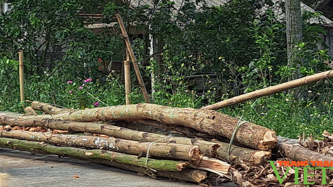 Nơi đây có những nghệ nhân miệt mài gìn giữ nghề làm giấy dó truyền thống - Ảnh 1. Nơi đây có những nghệ nhân miệt mài gìn giữ nghề làm giấy dó truyền thống - Ảnh 1.