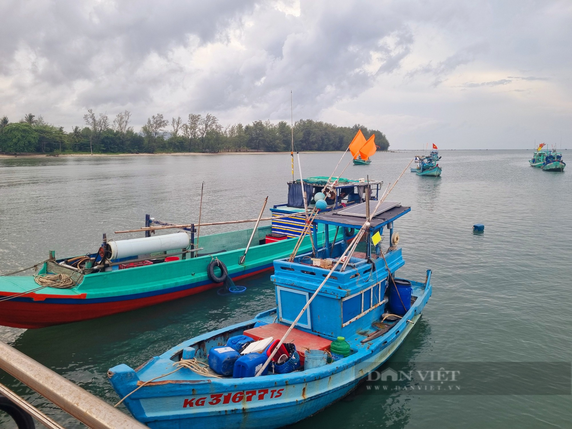 Kiên Giang: Từ 1/7 ngưng khai thác một số hải sản đến cuối năm 2023 - Ảnh 1.