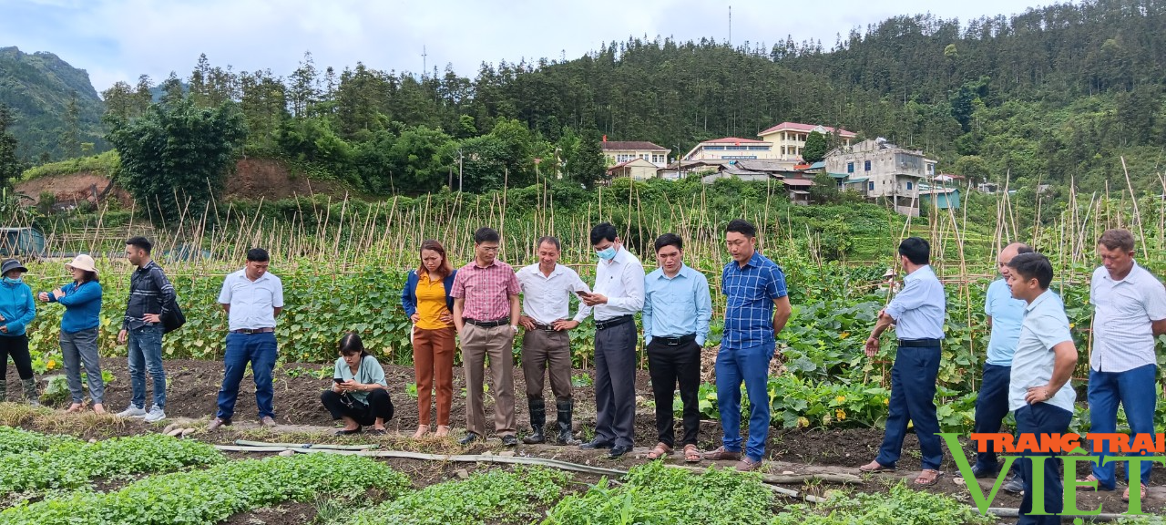 Sa Pa: Công tác Hội và phong trào nông dân có nhiều chuyển biến theo hướng thiết thực, hiệu quả  - Ảnh 2.