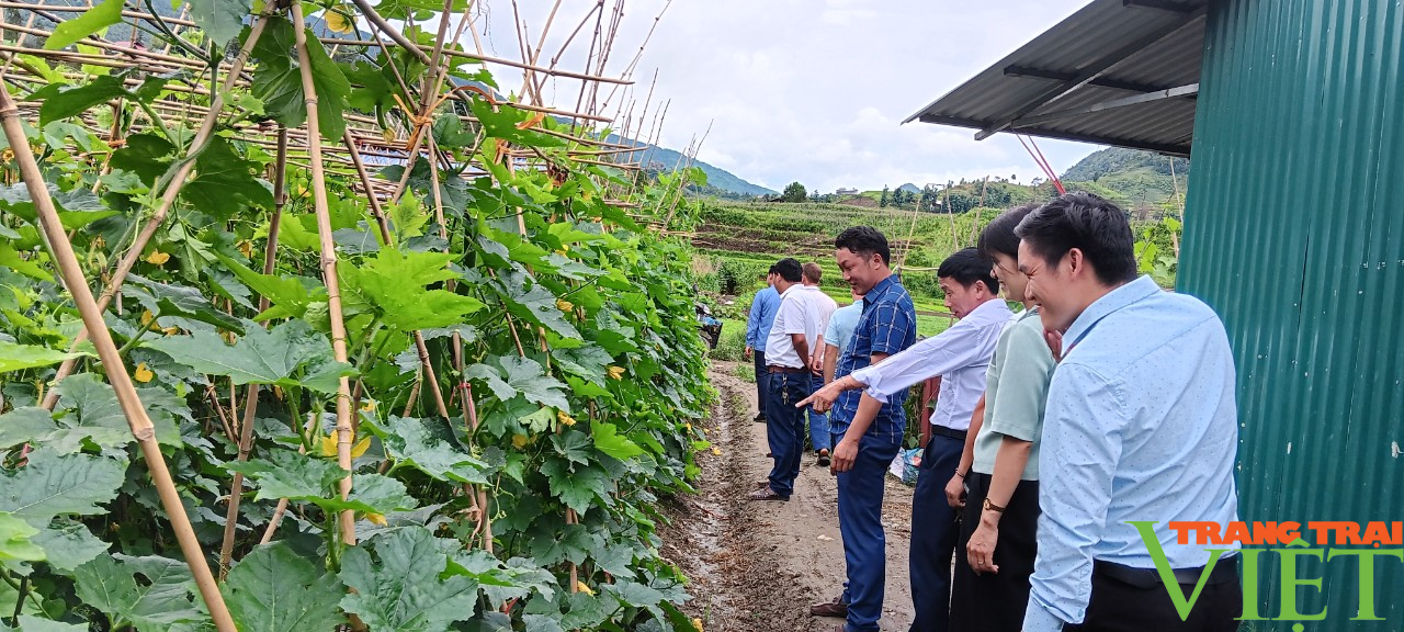 Sa Pa: Công tác Hội và phong trào nông dân có nhiều chuyển biến theo hướng thiết thực, hiệu quả  - Ảnh 3.