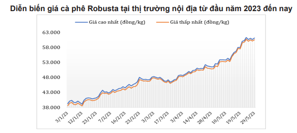 Giá cà phê kết thúc tuần tăng, dự báo &quot;nóng&quot; giá Robusta trong ngắn hạn - Ảnh 4.