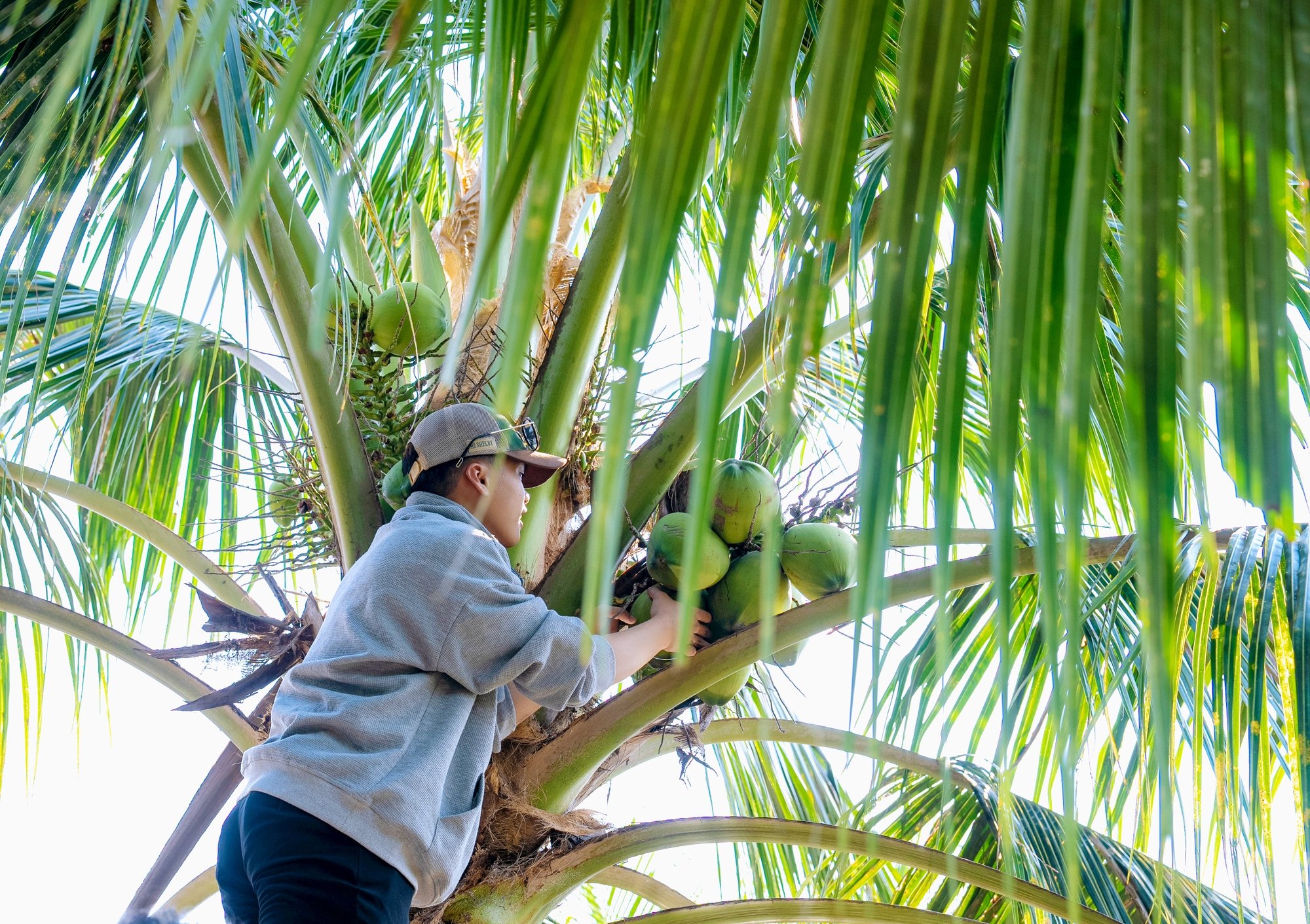 Khách du lịch đến Khánh Hòa thích thú trải nghiệm cuộc sống dân dã ở làng quê Nam Vân Phong - Ảnh 2.