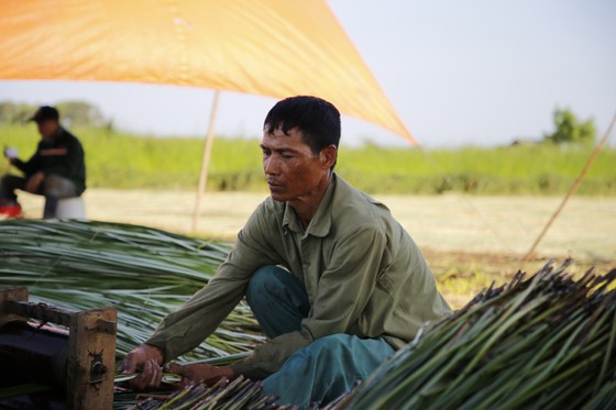 Một nghề ở Thanh Hóa, trời càng nắng càng phải lao ra đồng - Ảnh 8.