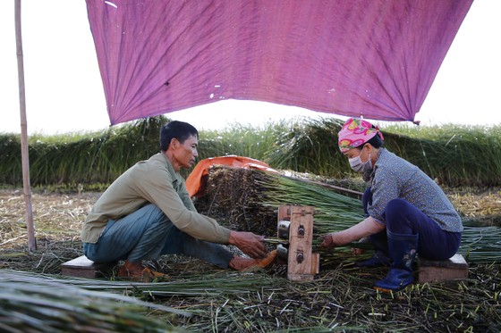 Một nghề ở Thanh Hóa, trời càng nắng càng phải lao ra đồng - Ảnh 9.