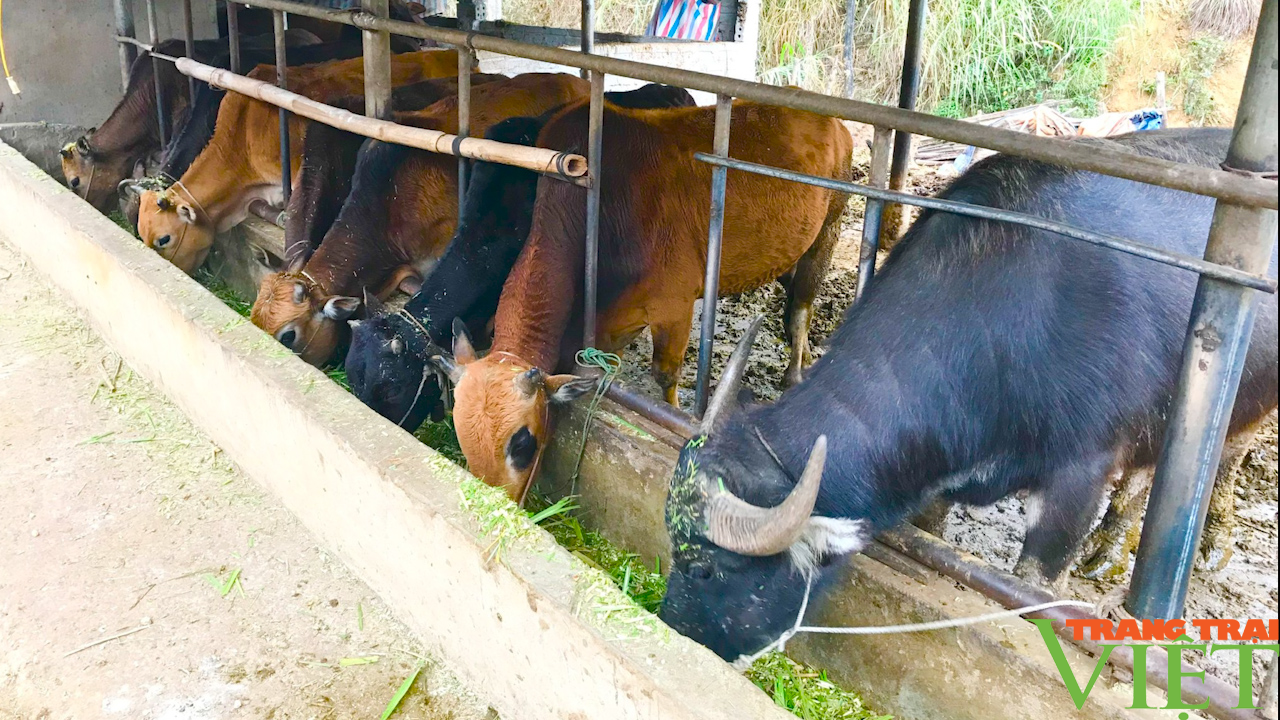 Nguồn động lực để đồng bào dân tộc thiểu số vươn lên - Ảnh 2. Nguồn động lực để đồng bào dân tộc thiểu số vươn lên - Ảnh 2.