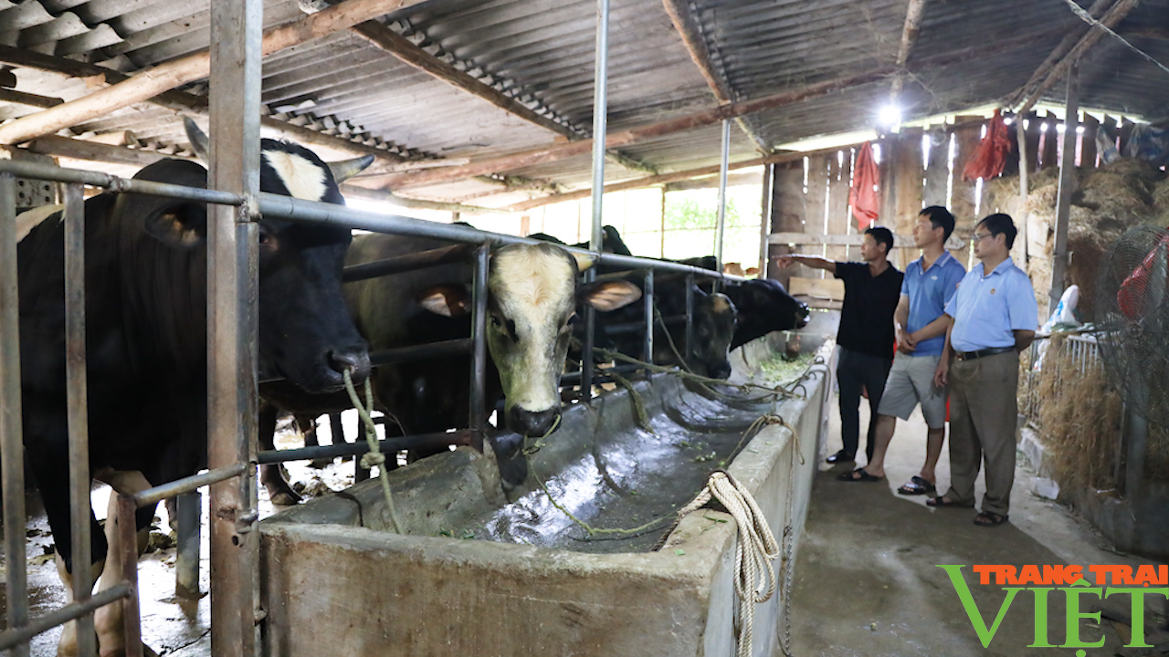 Nguồn động lực để đồng bào dân tộc thiểu số vươn lên - Ảnh 7. Nguồn động lực để đồng bào dân tộc thiểu số vươn lên - Ảnh 7.