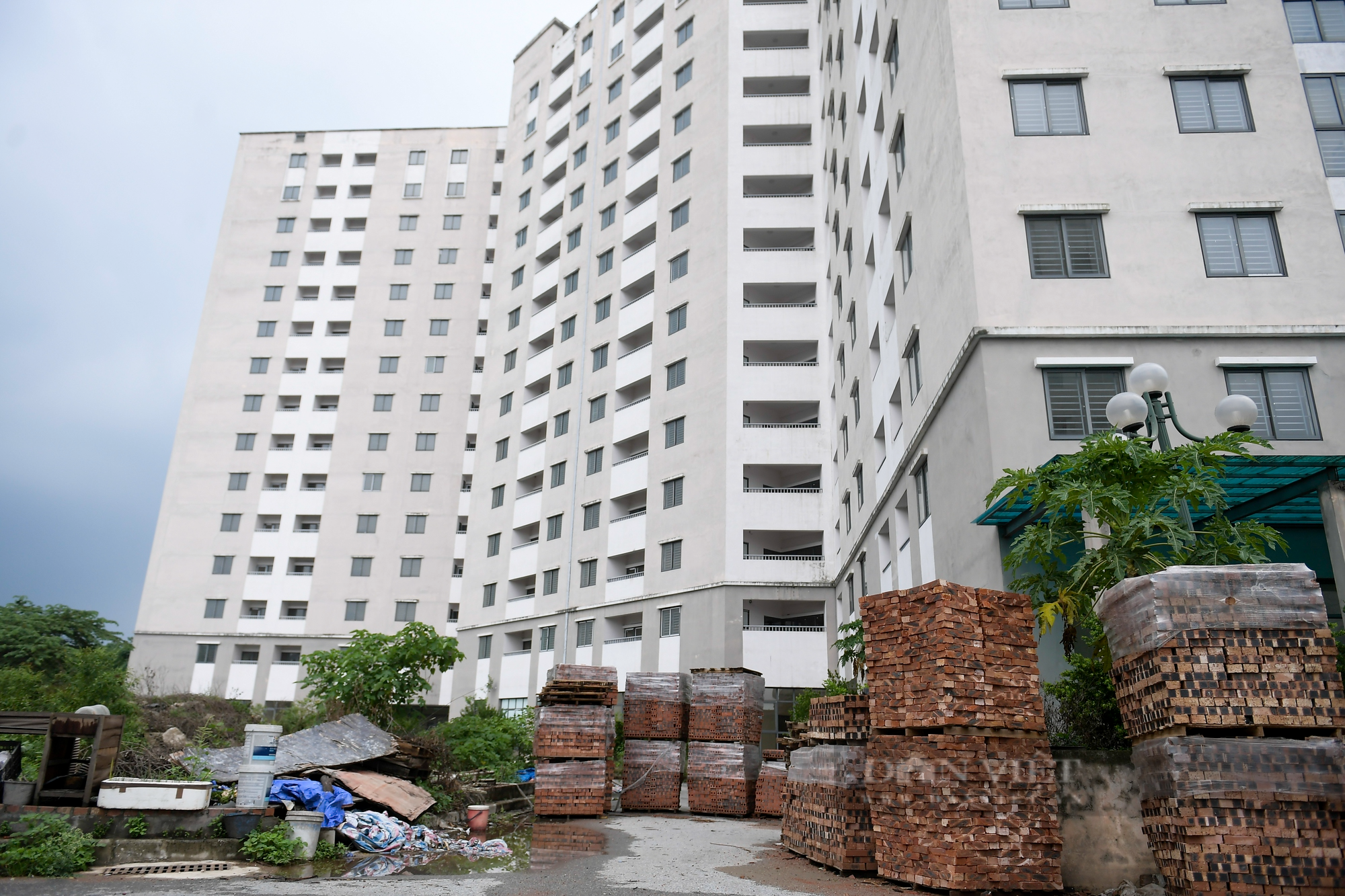 Cận cảnh 2 tòa chung cư bỏ hoang, &quot;đắp chiếu&quot; nhiều năm tại nội thành Hà Nội  - Ảnh 8.