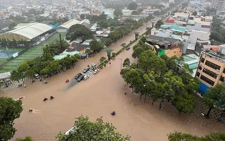 Bà Rịa - Vũng Tàu: Cử tri mong muốn xoá các dự án treo, tăng cường xây dựng nhà ở xã hội - Ảnh 2.