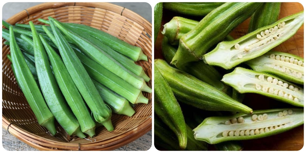 Loại quả được ví như “nhân sâm xanh”, giá chỉ khoảng 30.000 đồng/kg nhưng nhiều người chê không ăn - Ảnh 1.
