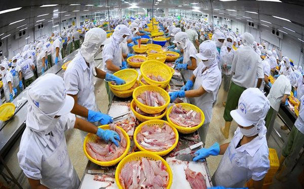 Vùng sáng từ những doanh nghiệp đi ngược 'làn sóng' suy giảm - Ảnh 7. Vùng sáng từ những doanh nghiệp đi ngược 'làn sóng' suy giảm - Ảnh 7.